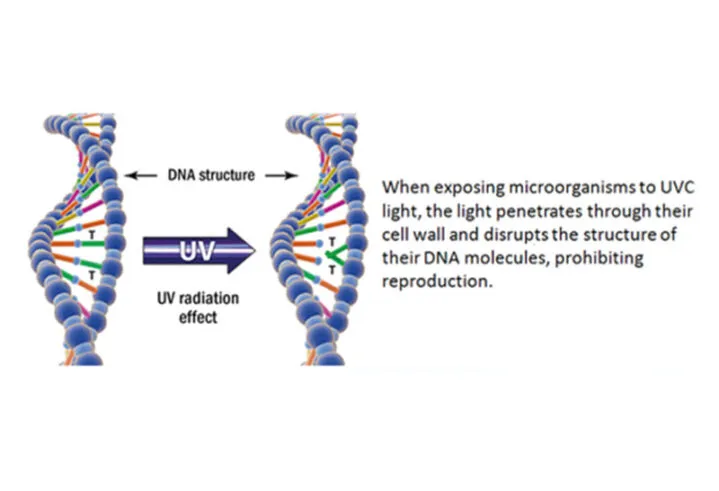 UVC y ADN de microorganismos